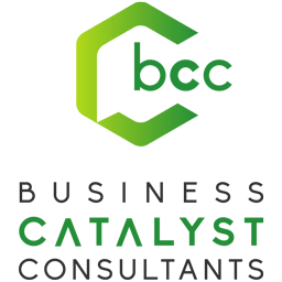 business catalyst consultants