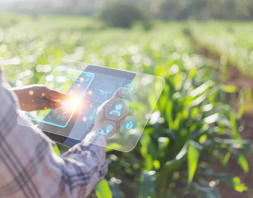 harnessing ai to solve world hunger